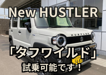 【試乗できます！】NEWハスラー特別仕様車「タフワイルド」が登場！